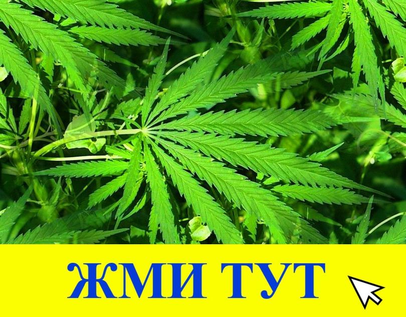 Купить наркотики в Красном Куте